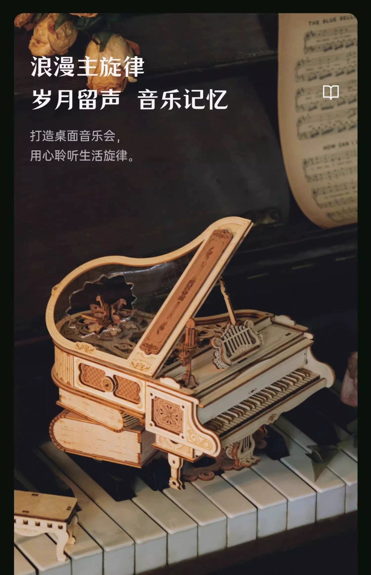 Craft Kits Wooden Music Box | Magical Piano - DIY Handmade Mini World Miniature Gift