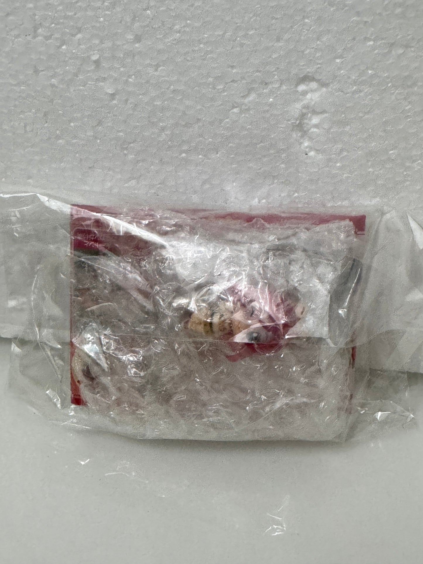Japanese Anime Love Live! School Idol Project Mini Figure Keychain | Maki Nishikino Leopard Animal Pajamas - 2013 Retried Trading Mascot Charm Collectable Toys Mystery Blind Box