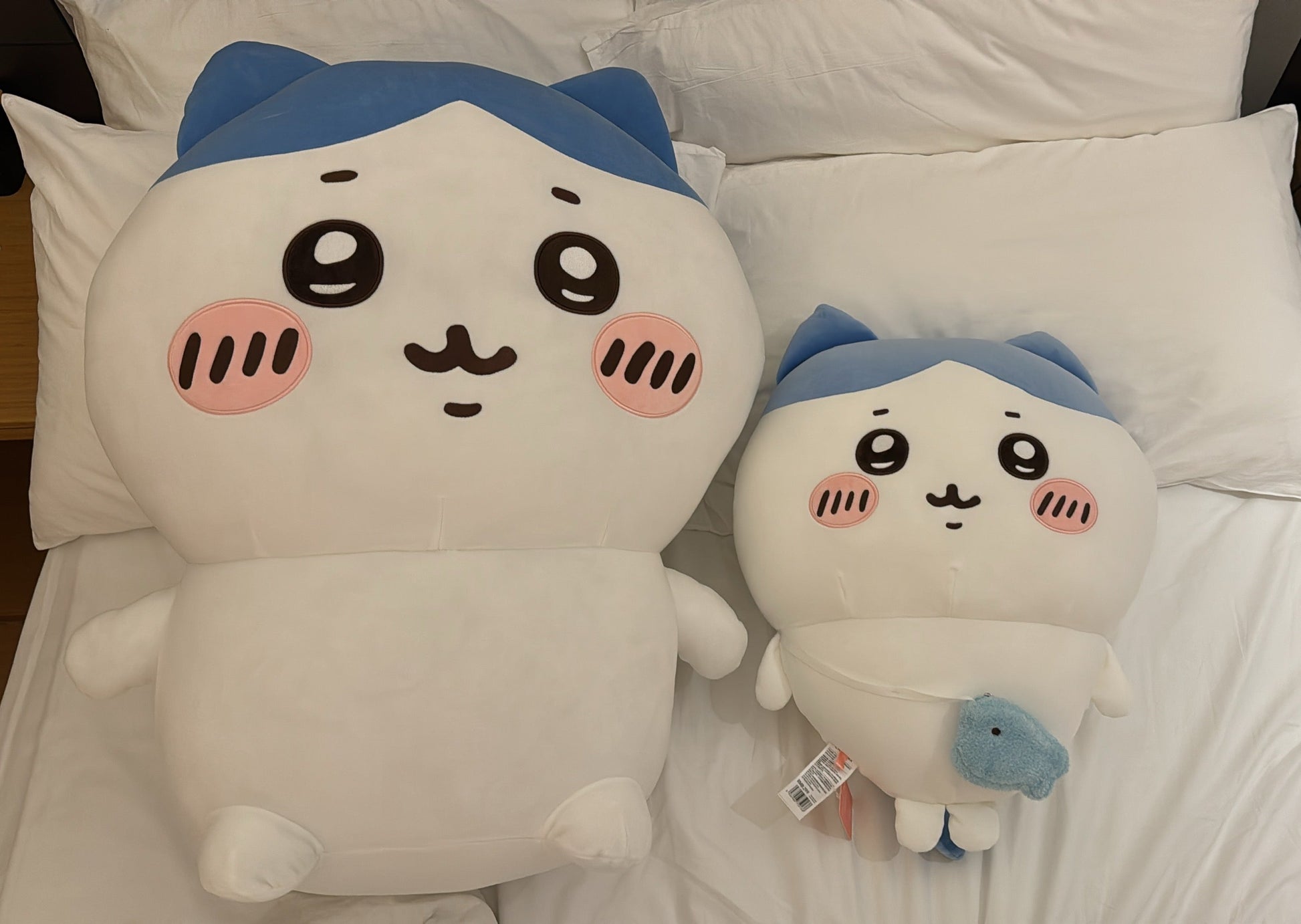 ChiiKawa X Miniso | ChiiKawa Hachiware Usagi -  60cm Giant Outing with Bag Plush Doll Kawaii items Room Decoration doll KawaiiGiftLand