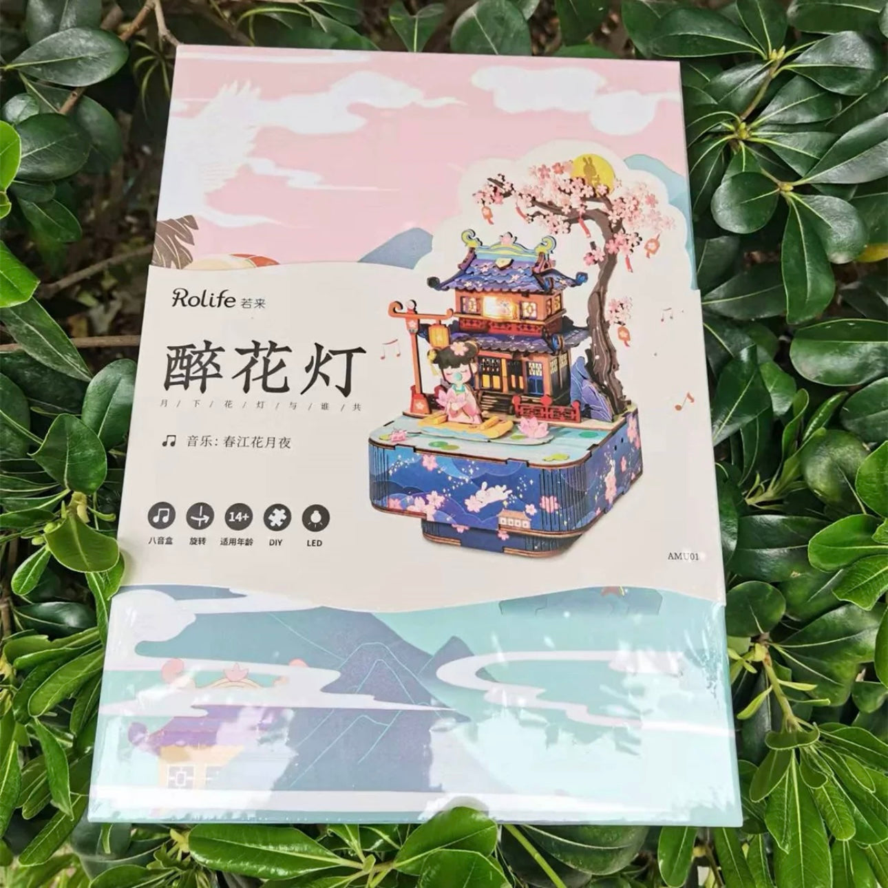 Craft Kits Wooden Music Box  | Chinese Drama Style - DIY Handmade Mini World Miniature Gift