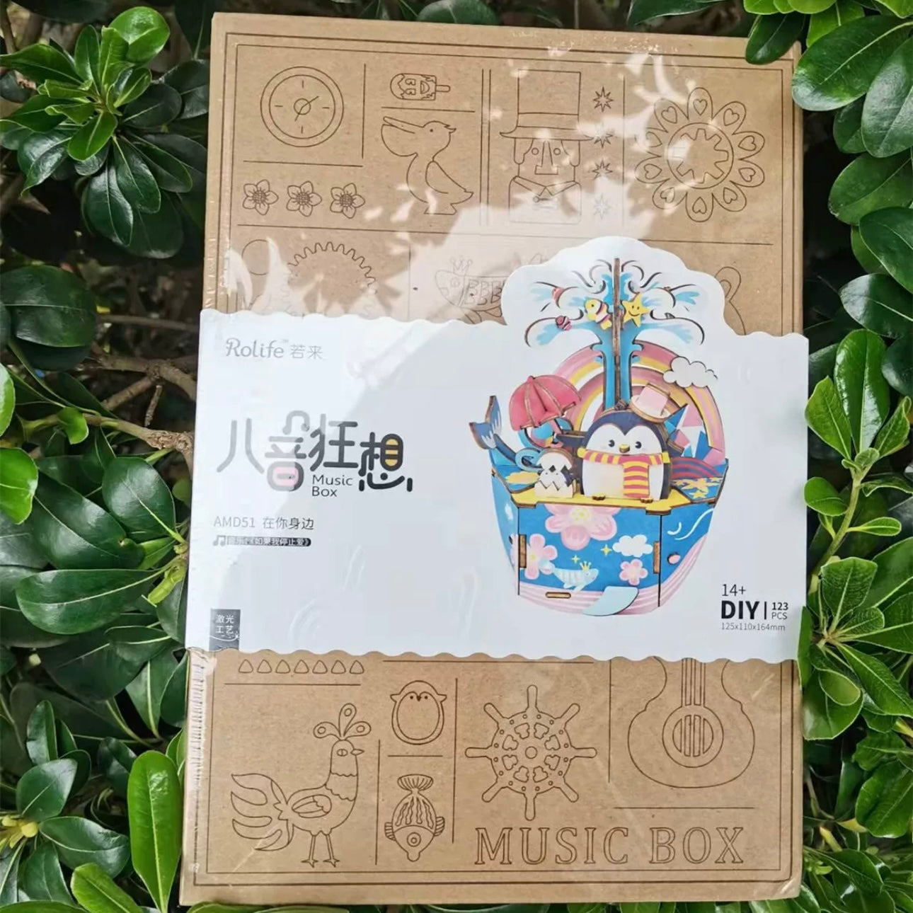 Craft Kits Wooden Music Box | Playful & Fun - DIY Handmade Mini World Miniature Gift