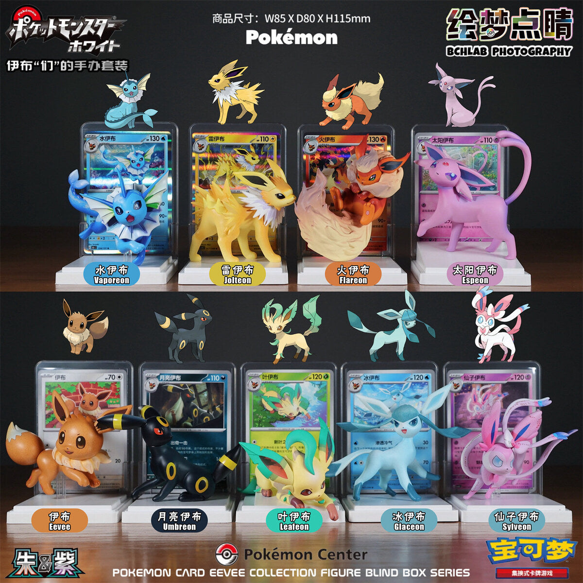 Pokemon Card Eevee Collection - all 9 confirmed figures together