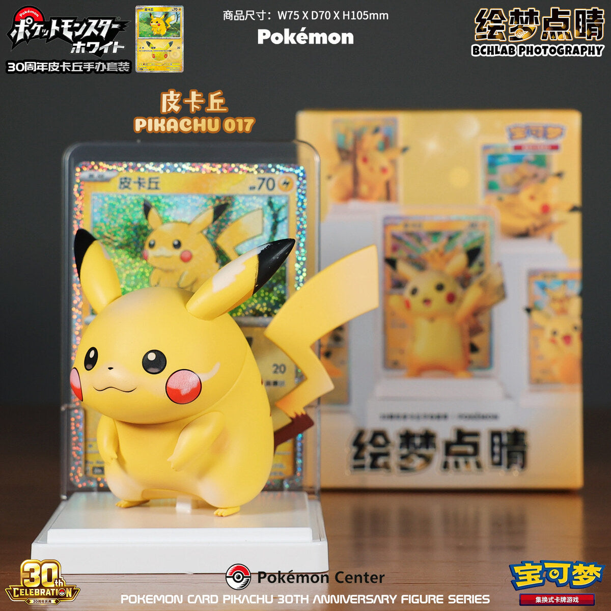 Pokemon Card Pikachu 30th Anniversary - Pikachu 017 Figure with Display Card