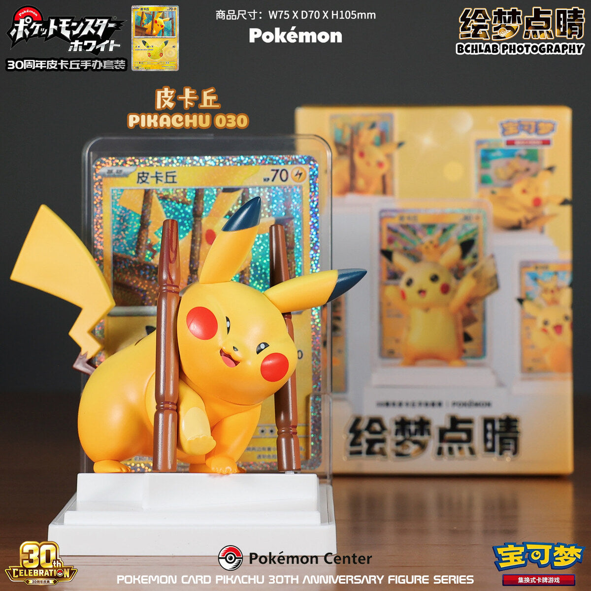 Pokemon Card Pikachu 30th Anniversary - Pikachu 030 Figure with Display Card