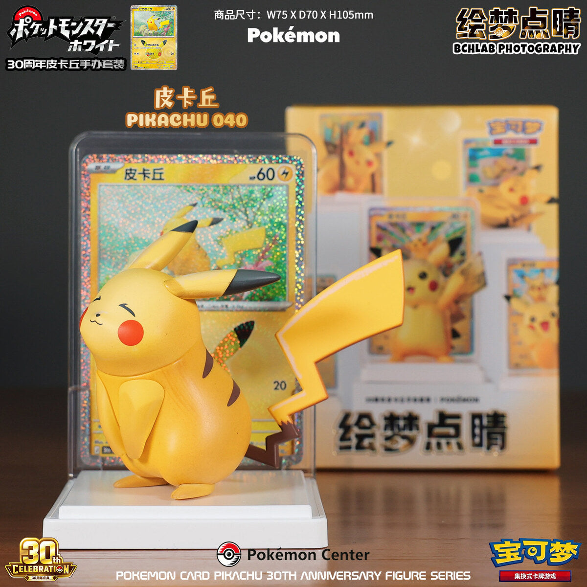 Pokemon Card Pikachu 30th Anniversary - Pikachu 040 Figure with Display Card